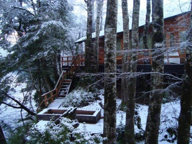 Villa Patagonia Mawida Neltume Exterior foto